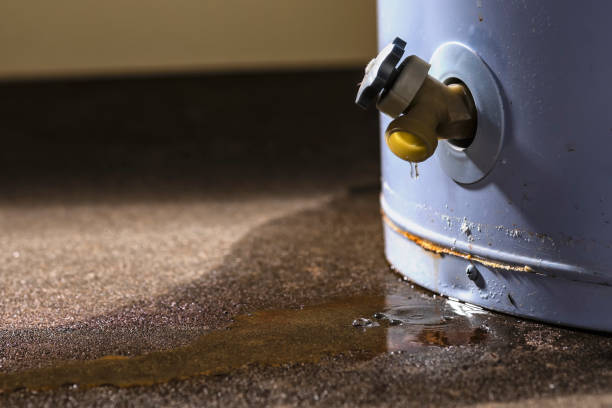 Best Carpet water damage restoration  in Trinity, TX