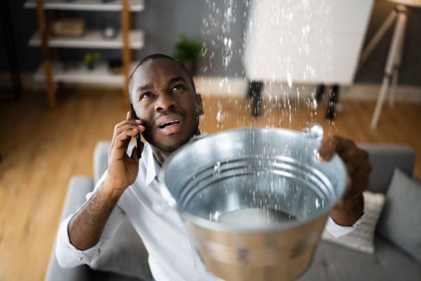 Best Water damage restoration near me  in Trinity, TX