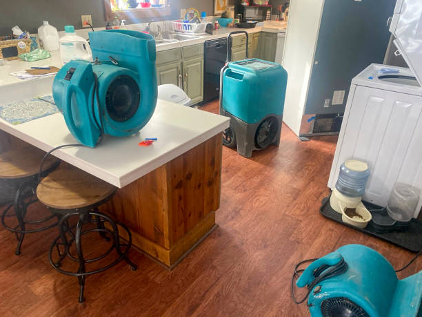 Best Local water damage restoration  in Trinity, TX