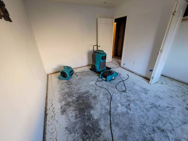 Best Water damage restoration company  in Trinity, TX