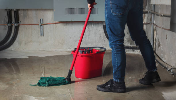 Best 24/7 water damage repair  in Trinity, TX
