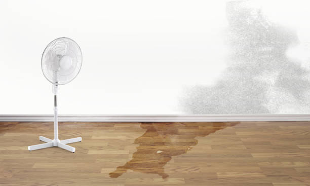 Best Residential water damage restoration  in Trinity, TX