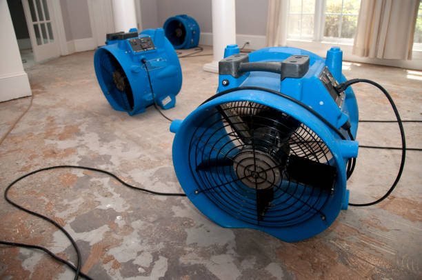  Trinity, TX Water damage restoration Pros