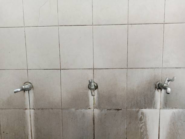 Best Local water damage restoration  in Trinity, TX