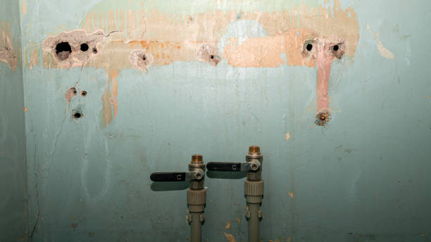 Best 24-hour water damage restoration  in Trinity, TX