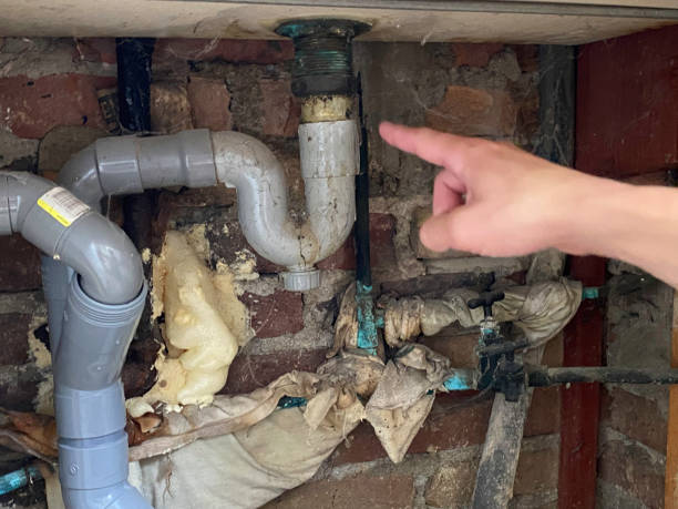 Best Local water damage restoration  in Trinity, TX