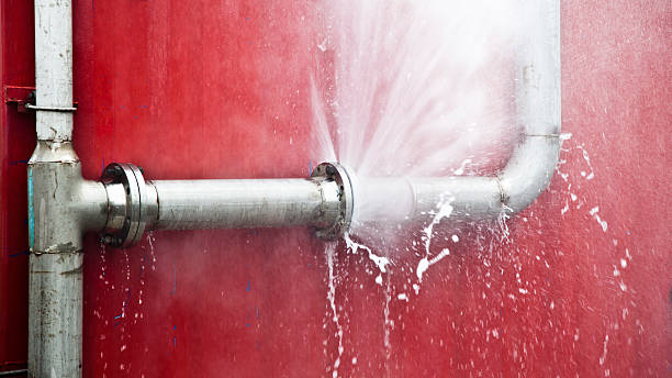 Best Water damage contractors near me  in Trinity, TX